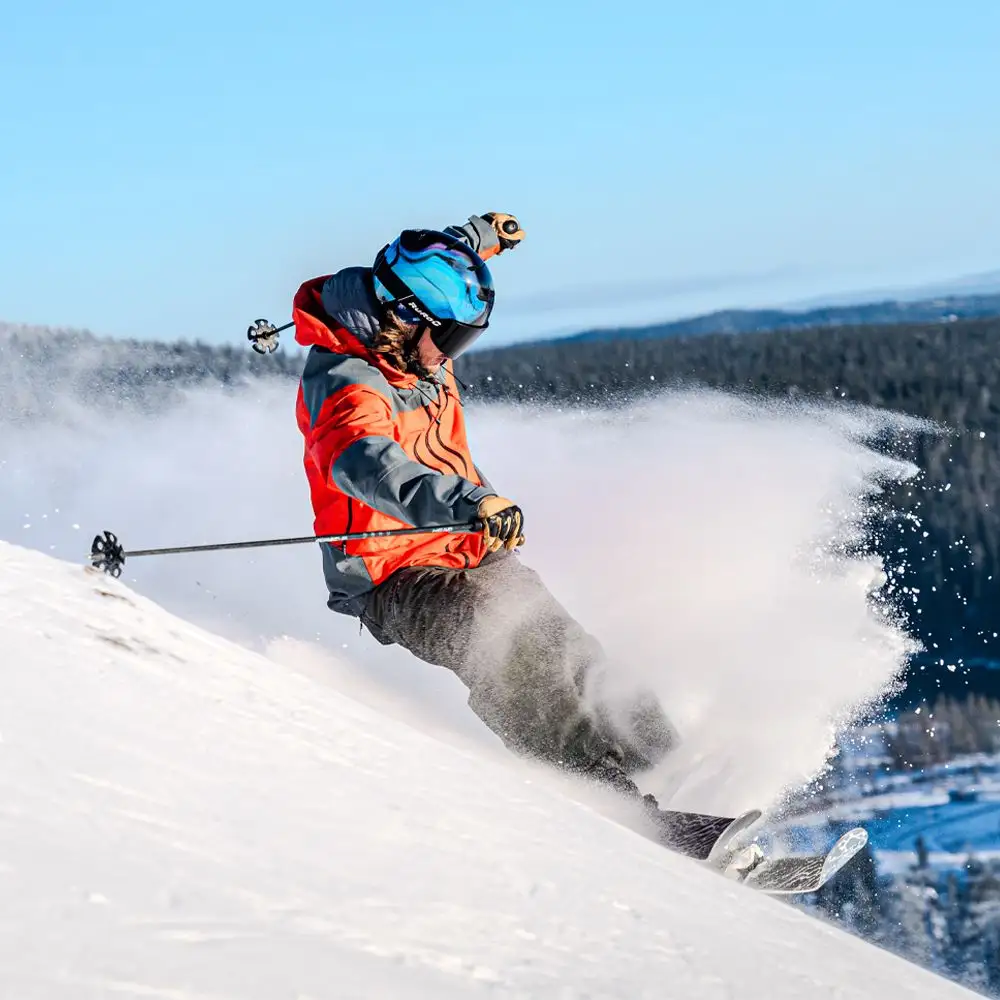 Borealis 12 Borealis